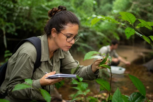 IF Goiano atualiza cronograma para seleção de pós-doutorado em Biodiversidade