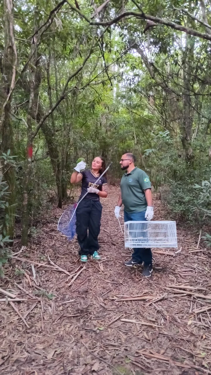 Jardim Botânico da UFSM torna-se área oficial de soltura de animais