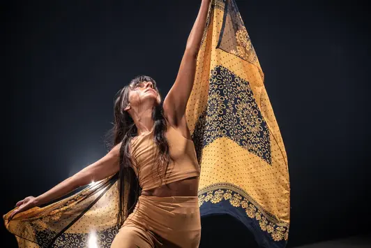 UFF – Dança consolida-se como campo de pesquisa acadêmica