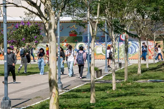 UFSC – Lança edital com 5.139 vagas para transferências e retornos